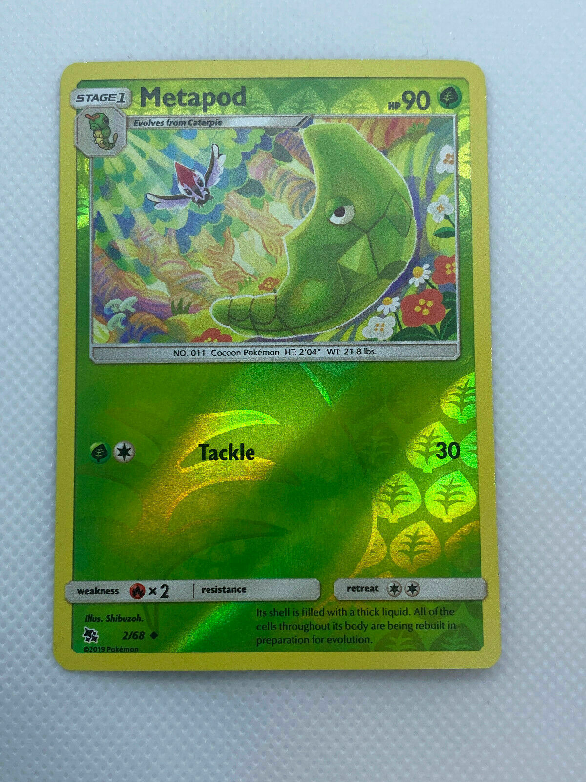 Pokémon Hidden Fates Reverse Holo Uncommon #2/68 Metapod Fresh Pull Near Mint